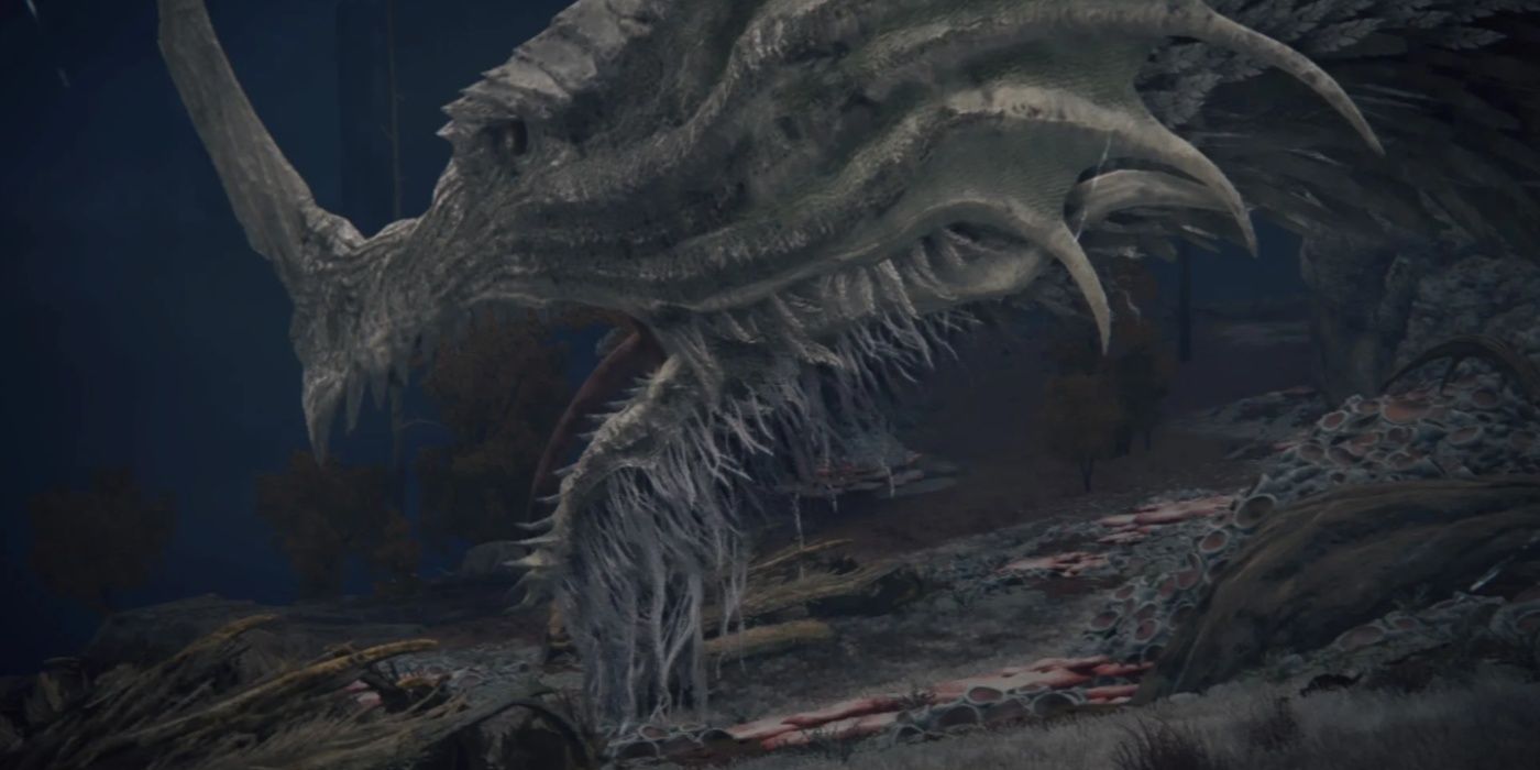 Dragona Anciana Greyoll
